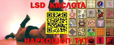 спайс Гагарин