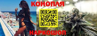 спайс Гагарин