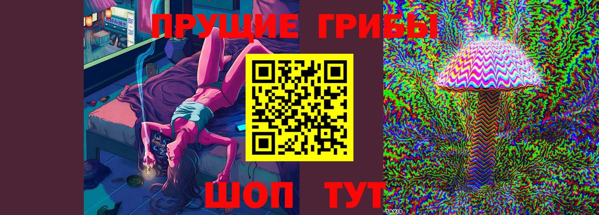 Галлюциногенные грибы прущие грибы  закладки  Псилоцибиновые грибы ЛСД  Звенигород  Вход с VPN 