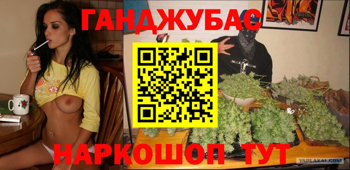 Бошки Шишки планчик Звенигород
